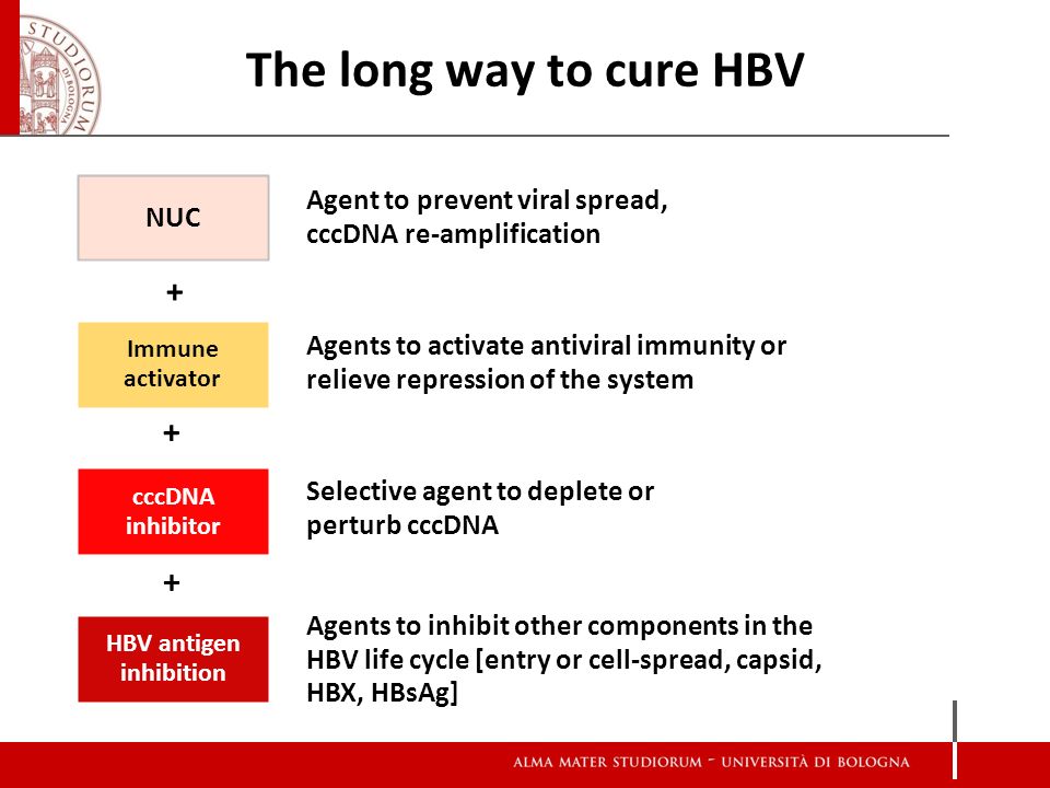 乙肝抗病毒的药的不良反应,乙肝抗病毒治疗药物分类