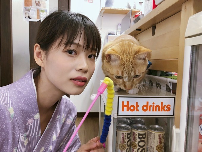 伏见稻荷大社怎么去清水寺,伏见稻荷大社到清水寺远吗