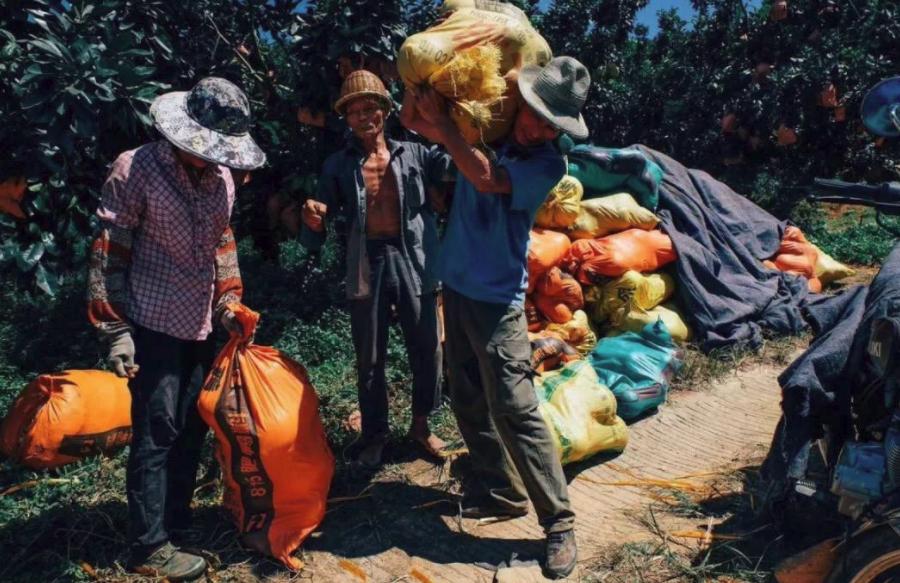 疫情后农民工出路在哪找,疫情过后农民工还能做什么生意