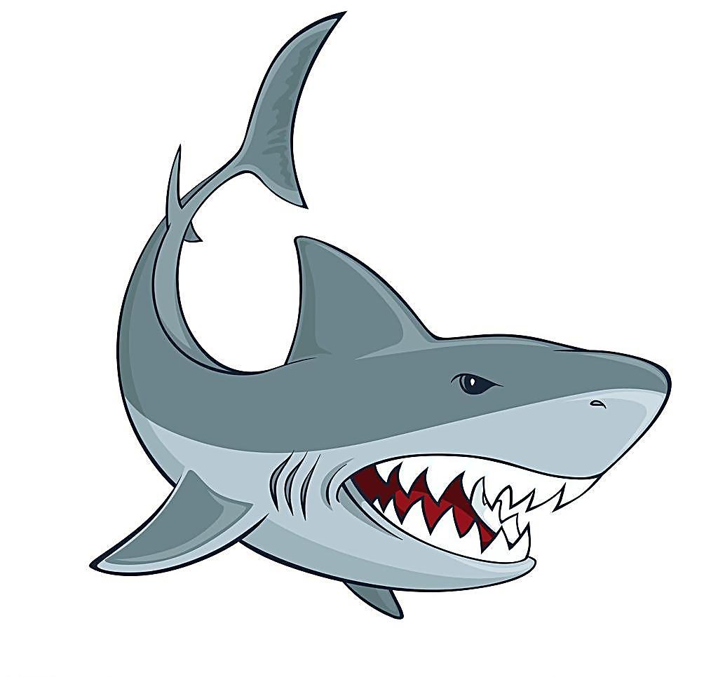 青岛贝林自然博物馆,青岛贝林博物馆门票优惠政策