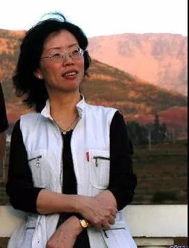 大美临海文章,大美临海漫画作品