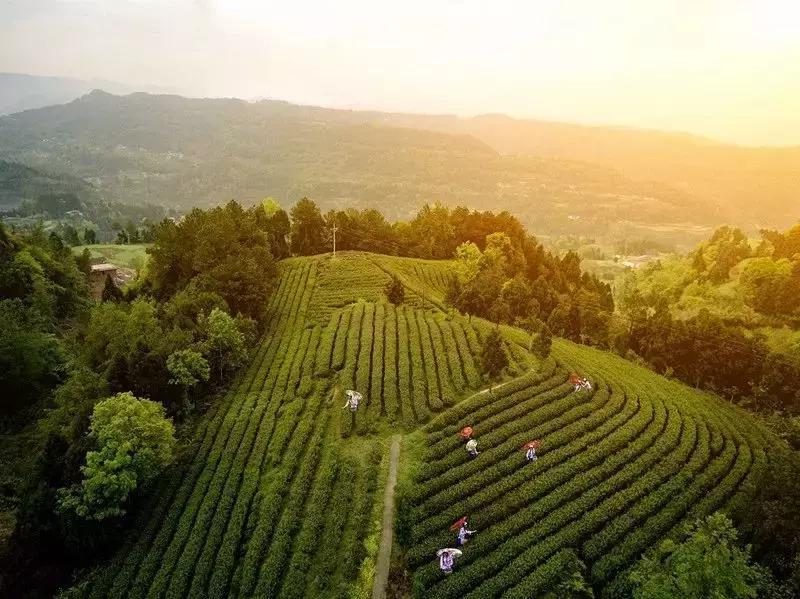 如果有一天累了就回老家到处走走,如果有一天累了就回来吧