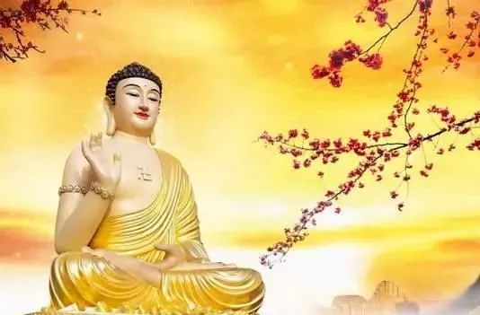 鍚櫤澧炴収鍥烘湰寮哄熀,鍚櫤澧炴収鎺ㄨ崘鐞嗙敱