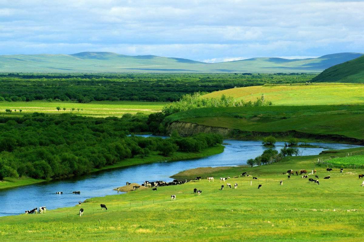 亚洲第一湿地额尔古纳游记,额尔古纳湿地野生观景点