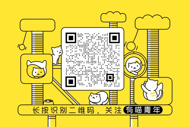 脑子一热养猫后悔怎么办,养猫后悔的原因有哪些