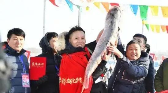 2016年360万天价鱼,头鱼为什么拍出近300万天价