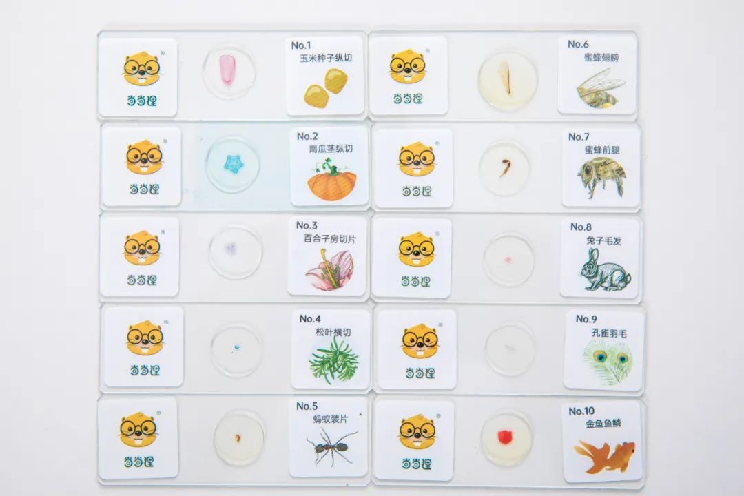 暑假孩子玩手机不如打篮球吧,儿童显微镜放大蚂蚁120倍