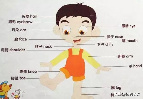 这位老师“绝”了，把单词分成6大类，还有高效记忆法。家长收藏