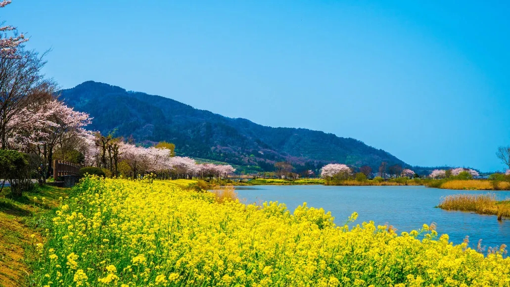 患抑郁症15年能活下来已是奇迹了,得了抑郁症最快自愈的方法