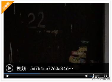 小区邻居养了三条狗违法吗,小区业主养了多条狗