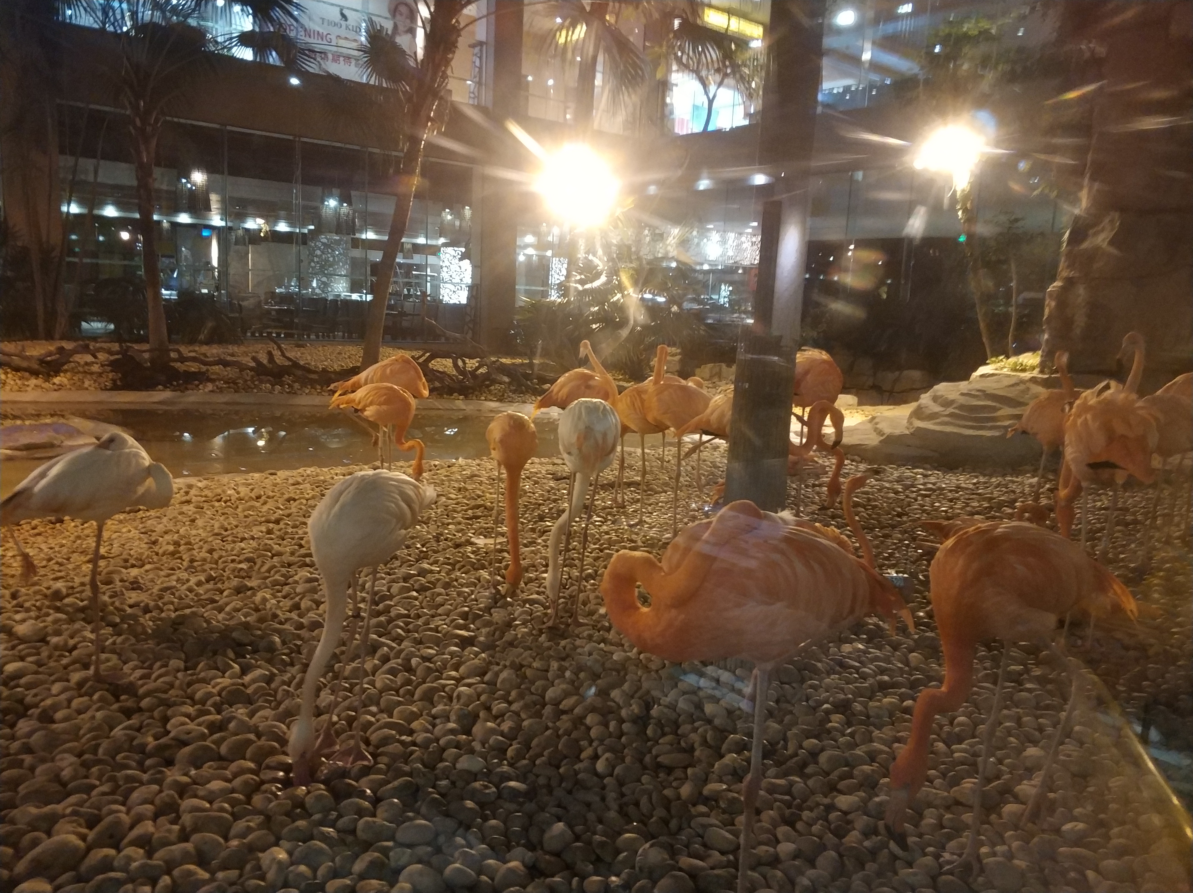 广州长隆野生动物园1天1夜,带孩子去广州长隆野生动物园