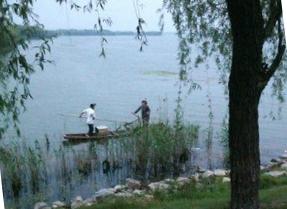 钓鱼遇到电鱼怎么举报,钓鱼时遇到警察