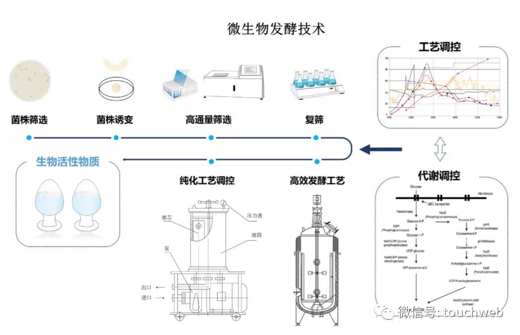 华熙生物是世界玻尿酸龙头吗,华熙生物科创板