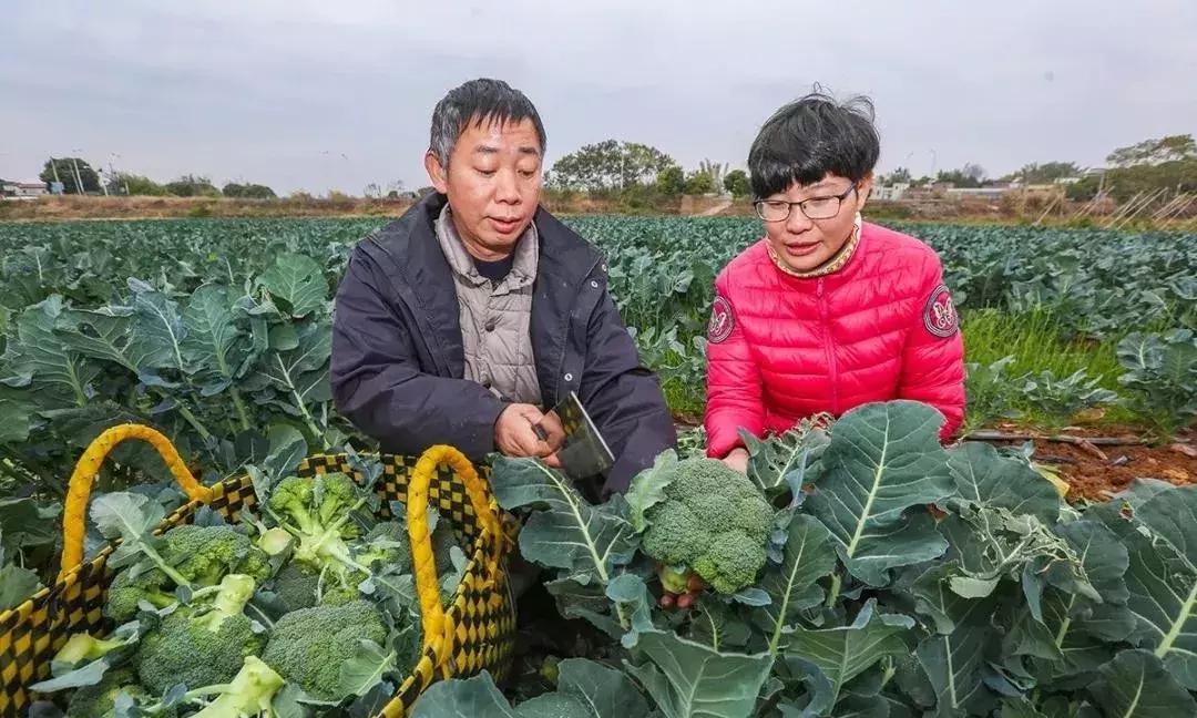 兴宁适合女性创业吗,回乡创业致富的女人