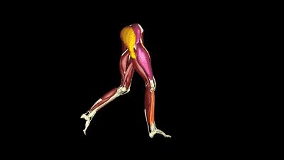 导致女性出现小腿粗肿的肌肉型小腿的三个原因及解决方法