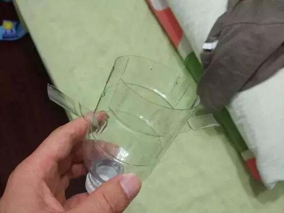 大水瓶扦插生根神器,室内用塑料瓶扦插生根最快方法