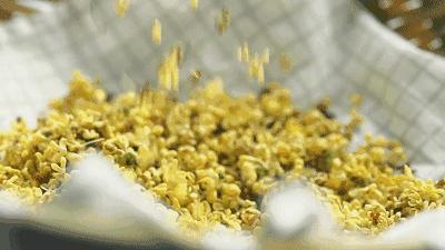 一入秋西安就美成长安,一入秋杭州就美成临安