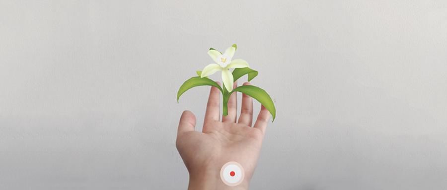 为什么今天都在发“想要你栽在我手里”?难道因为她们手里有土?