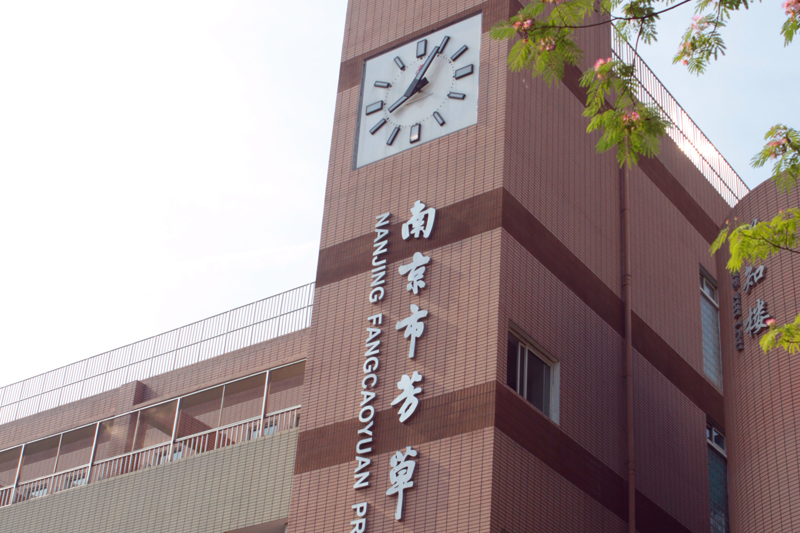 鍗椾含甯傝姵鑽夊洯灏忓缃戠珯,鍗椾含甯傝姵鑽夊洯灏忓鐓х墖