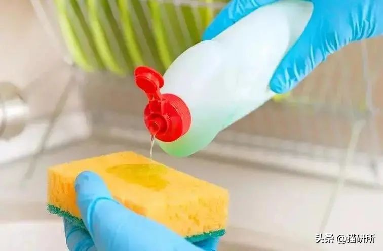 猫咪到底能不能喝矿泉水,猫咪喝自来水会结石吗