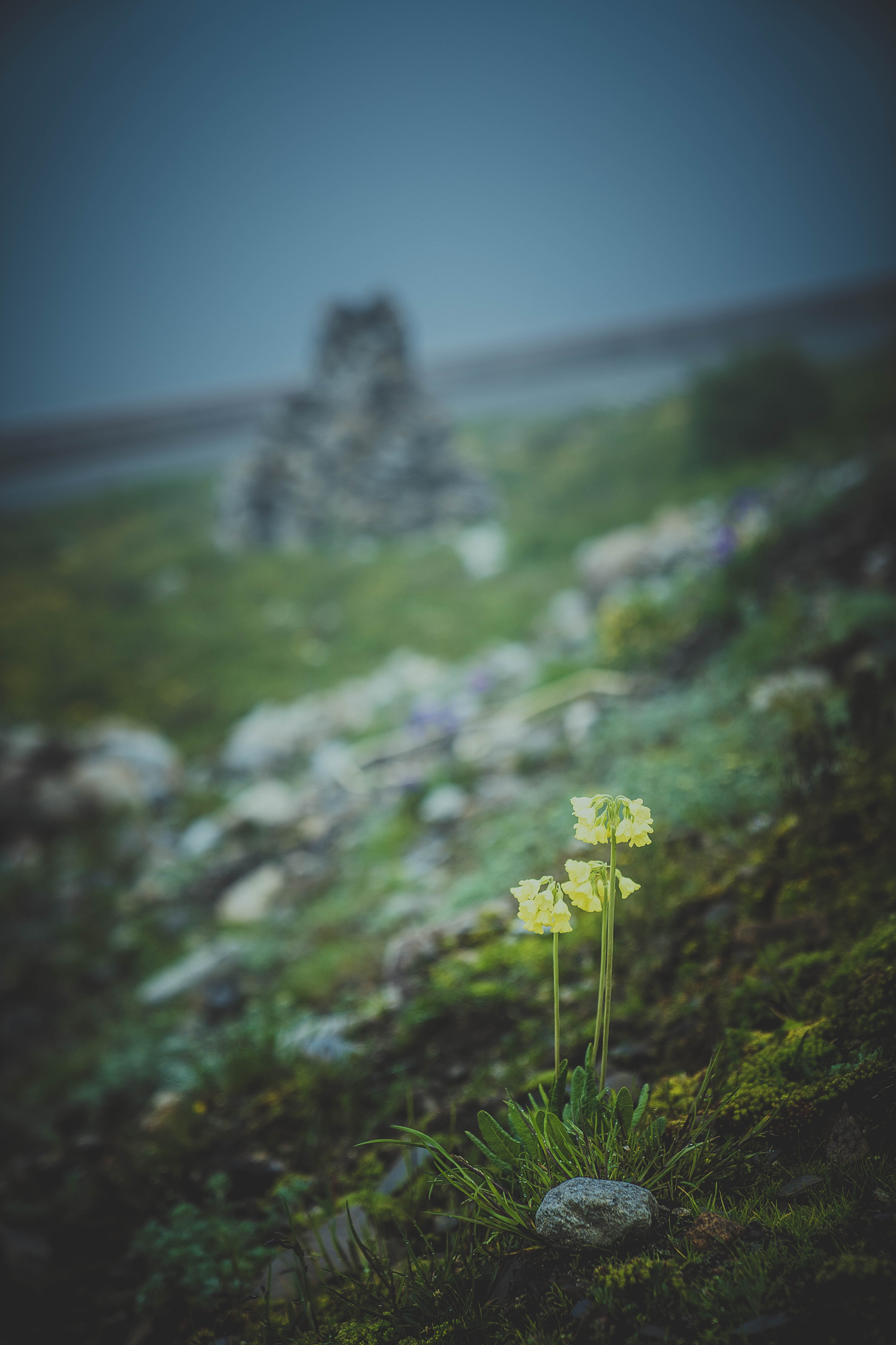 做个真正的骑士,真正的摩旅骑士