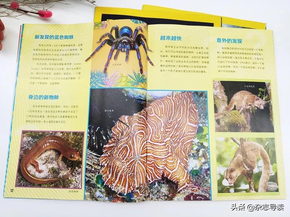 孩子必读的科普读物,哪些适合小学生看的科普杂志