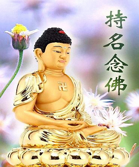 往生极乐世界时怎么认识阿弥陀佛,往生净土和阿弥陀佛的区别
