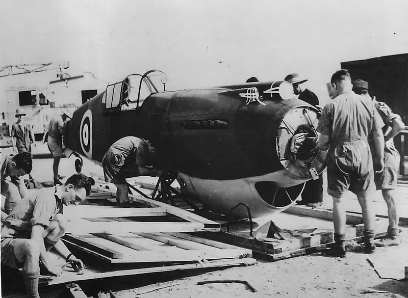 p-40战鹰战斗机图纸,p40战鹰战斗机历史影像