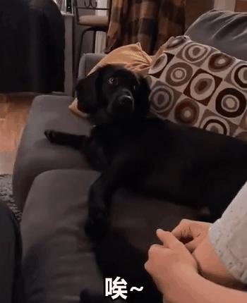 澶栧浗浜哄湪鐢锋湅鍙嬮潰鍓嶇殑鍙规皵,鐩樼偣琚洿鐢锋皵鍒版姄鐙傜殑鐬棿