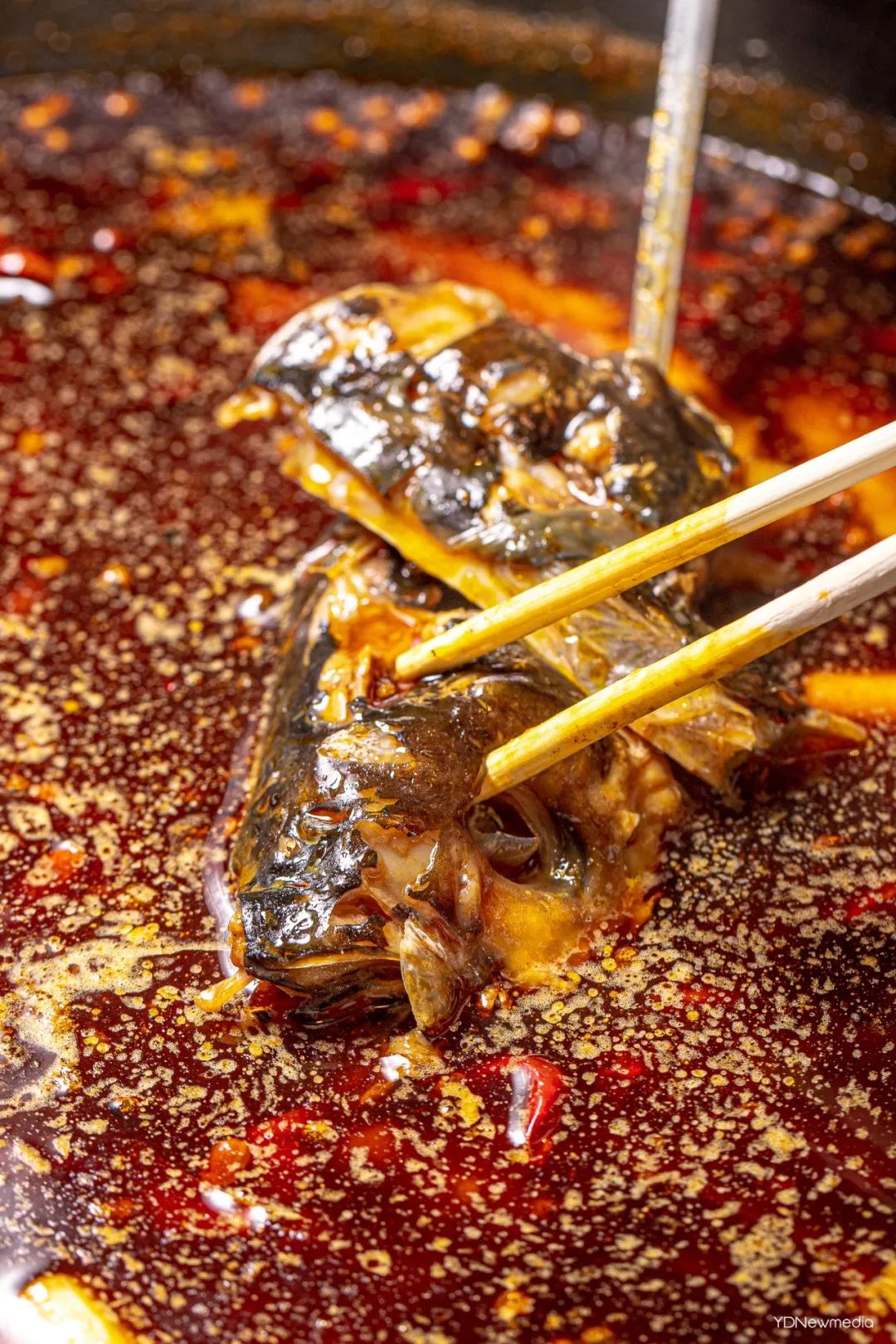 何师傅美蛙鱼头店庆,何师傅美蛙鱼头青年汇