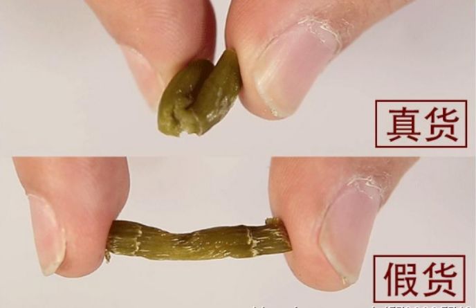 常见石斛推荐品牌,好的石斛该怎么选