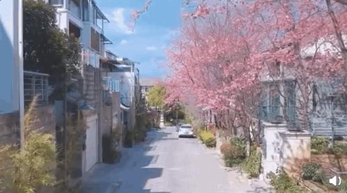 疫情防控取得阶段性胜利有序恢复,疫情胜利在望