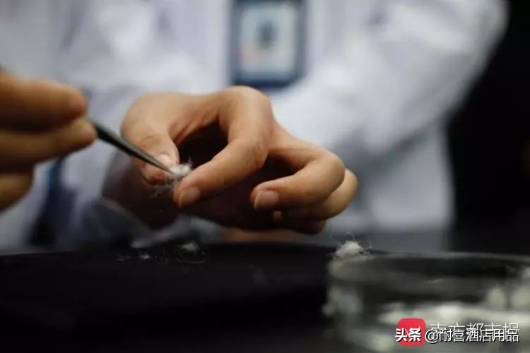 识别真假羽绒服视频,如何识别假羽绒