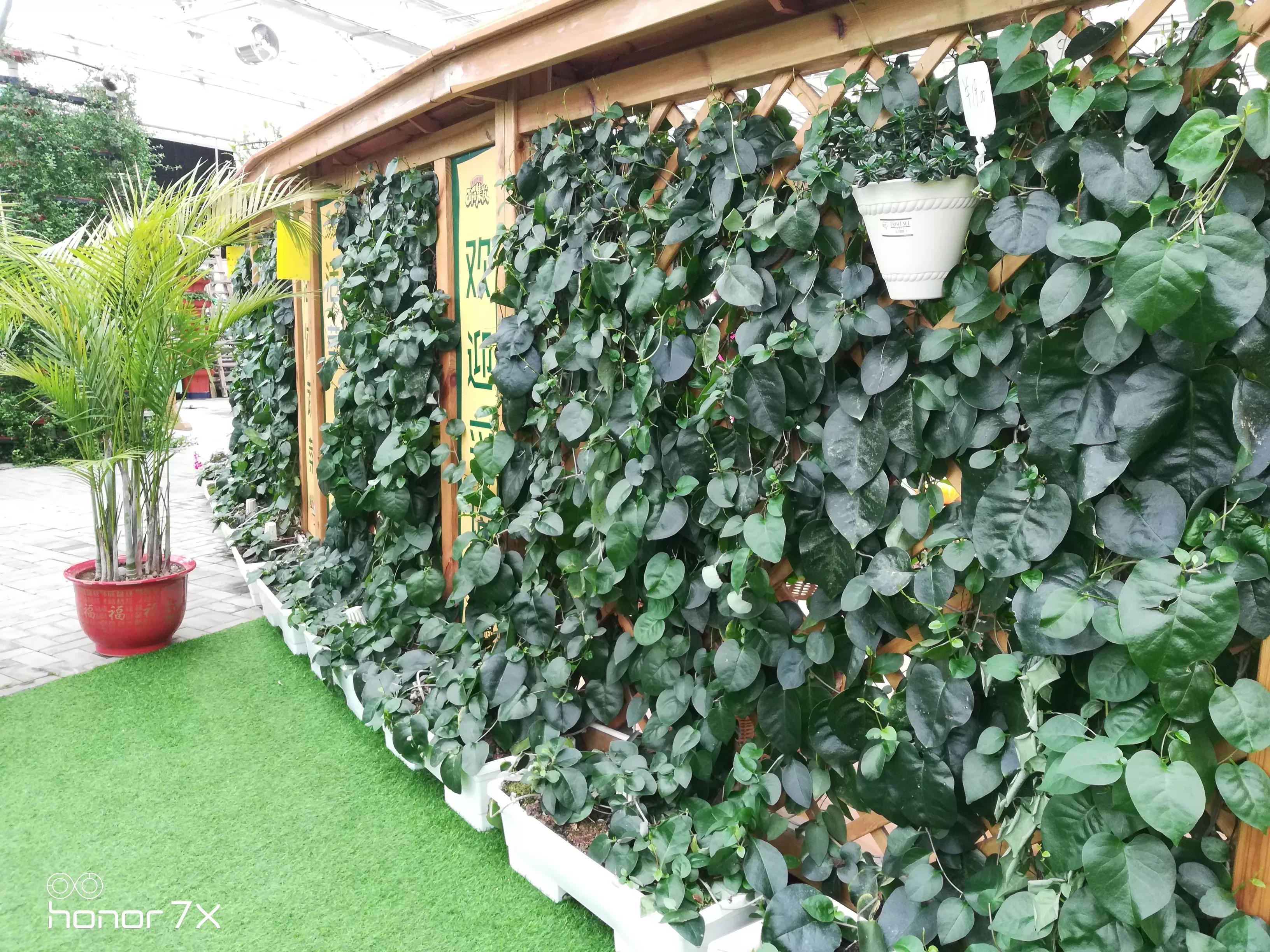 秦皇岛最大农业梦想王国,秦皇岛农业梦想王国图