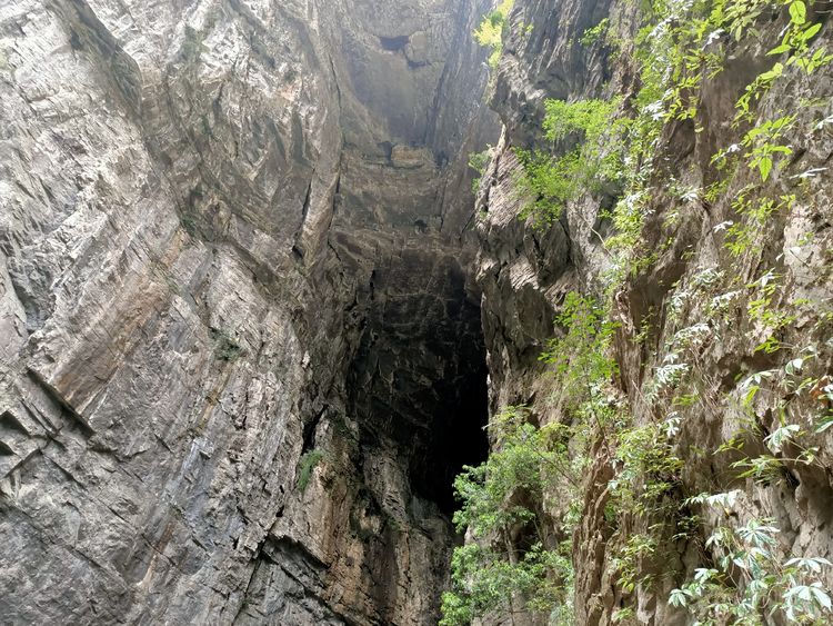 大美武隆仙女山,畅游重庆武隆区仙女山