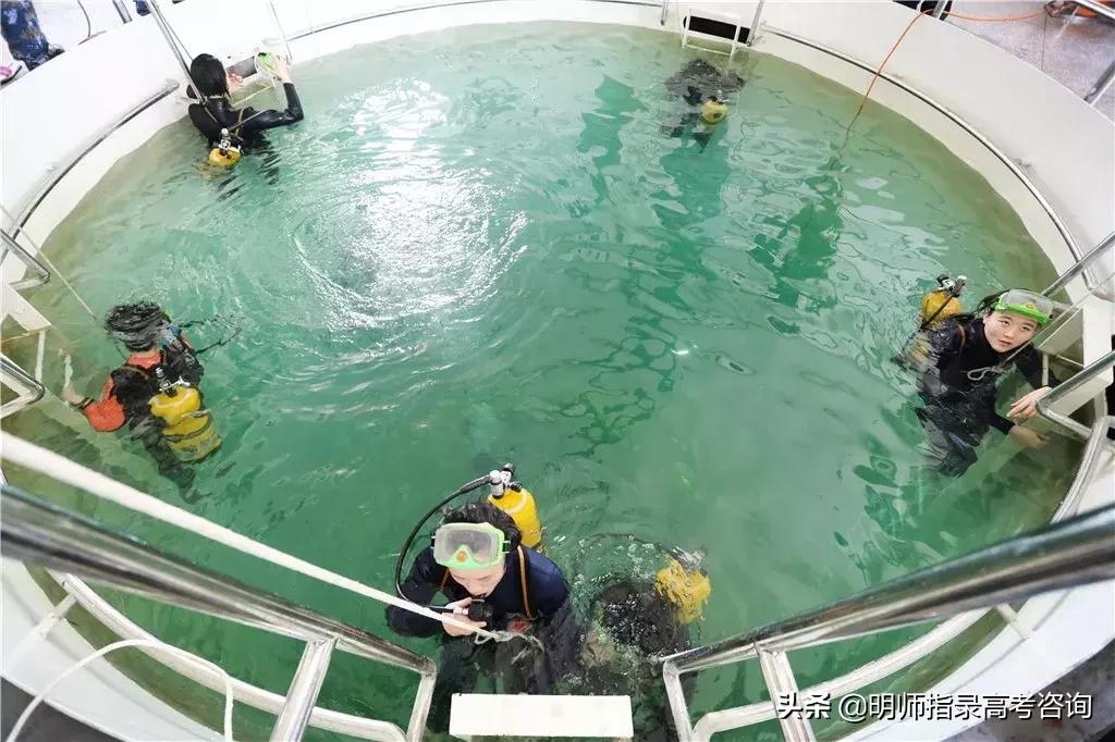 海军五所军校,中国海军五所学校