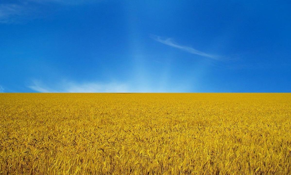 深藏不露低调到令人害怕的星座,城府极深的五个星座狡猾堪比狐狸