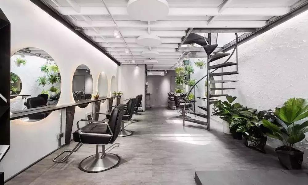 发廊角落绿植,发廊适合放的绿植