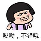 泰康健康尊享b医疗保险好吗,泰康的健康尊享如何