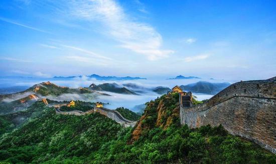 龙润茶产品集锦,深度分析龙润茶