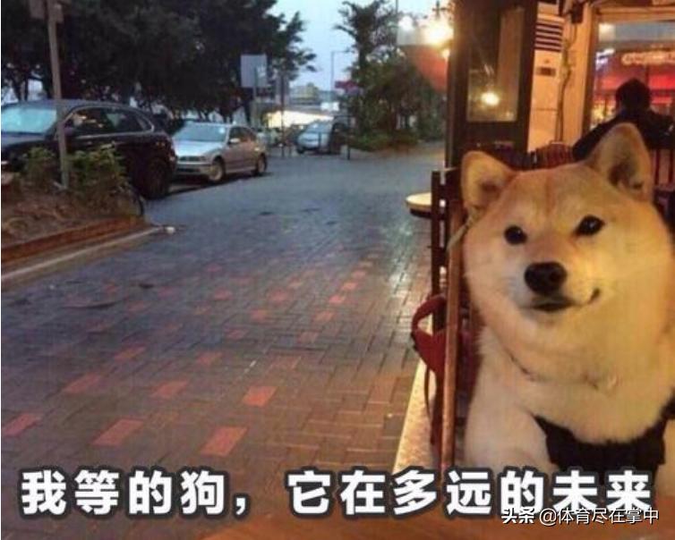 只看到别人成功没看到背后的辛酸,只看到了辉煌没看到背后的努力