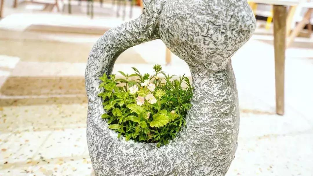 去上海必去的民宿,上海树林民宿推荐