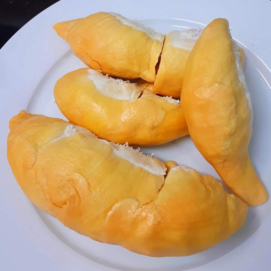 榴莲品种d13,泰国榴莲d197是什么品种