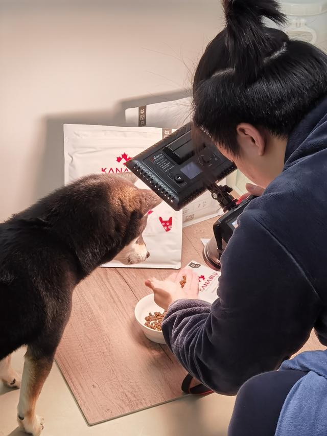 过年加餐？小心喂坏肚子——玻璃胃狗子的喂养心路历程