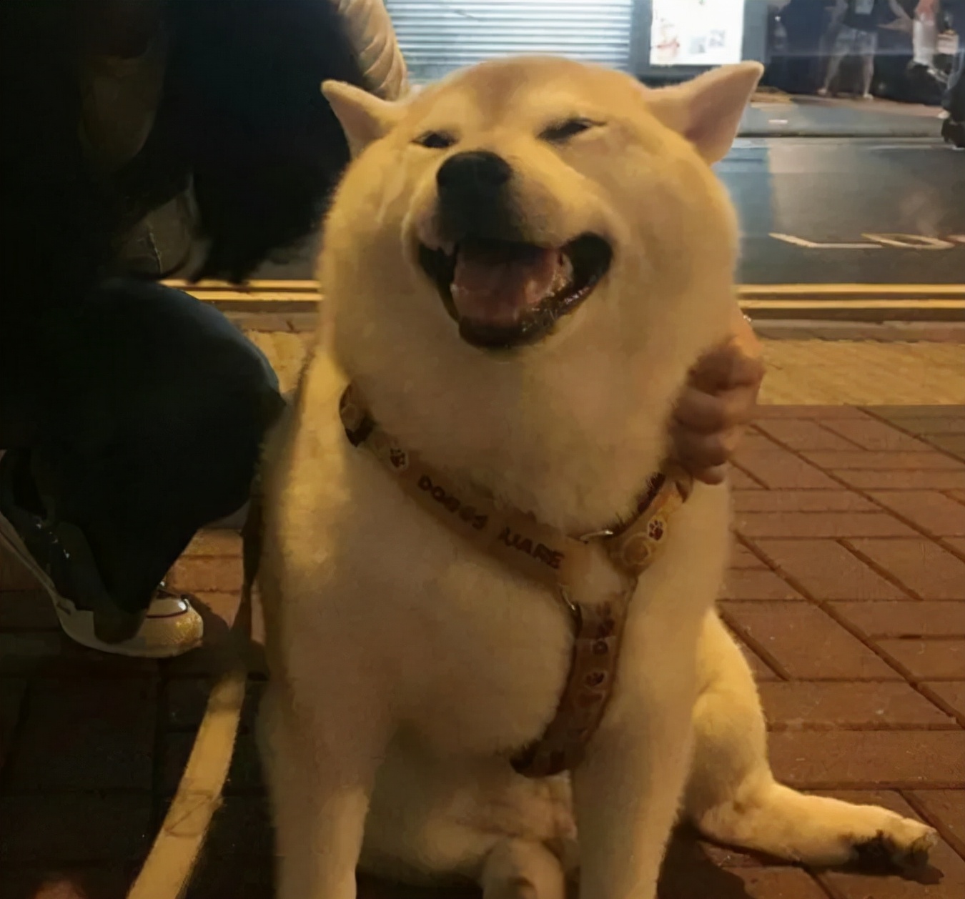 狂言君视频连线,狂言君jr完整视频