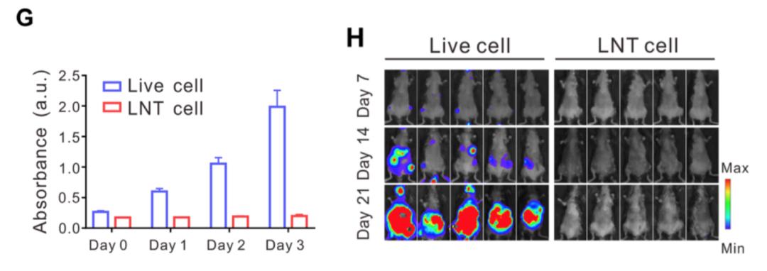 浙大药学院院长顾臻,液氮冷冻治疗干细胞