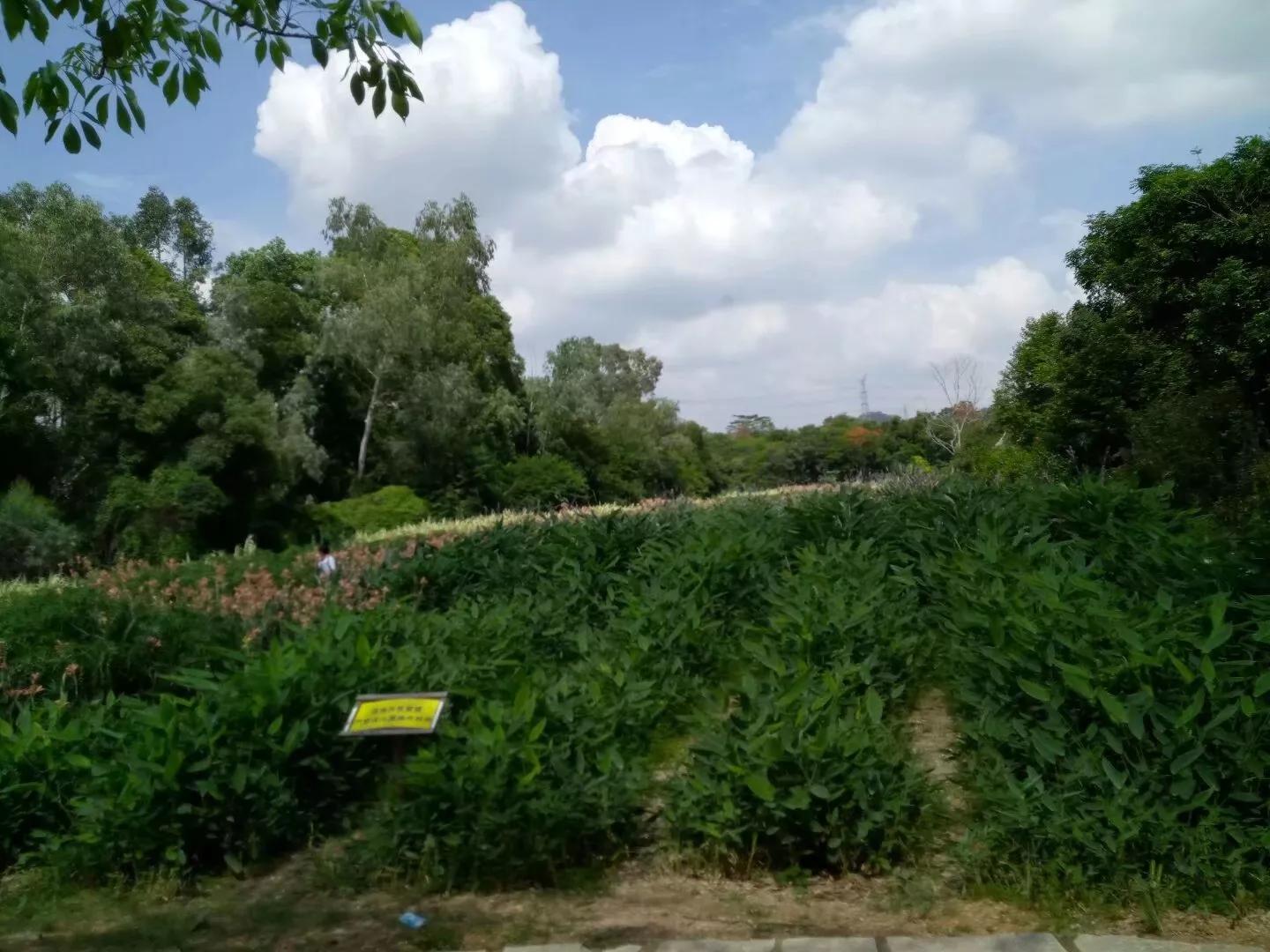 信用卡逾期被诉会强制执行吗,信用卡逾期被起诉强制执行会怎样