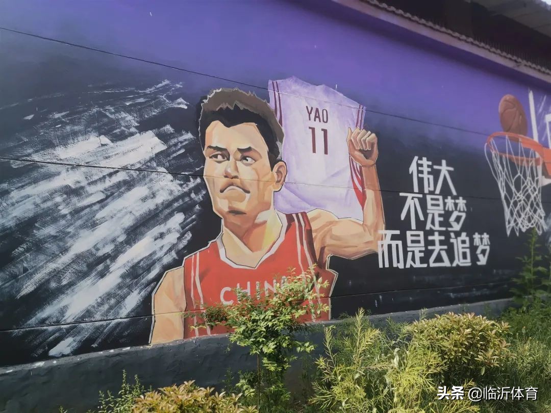 大力支持体彩公益,公益活动体彩助力视频