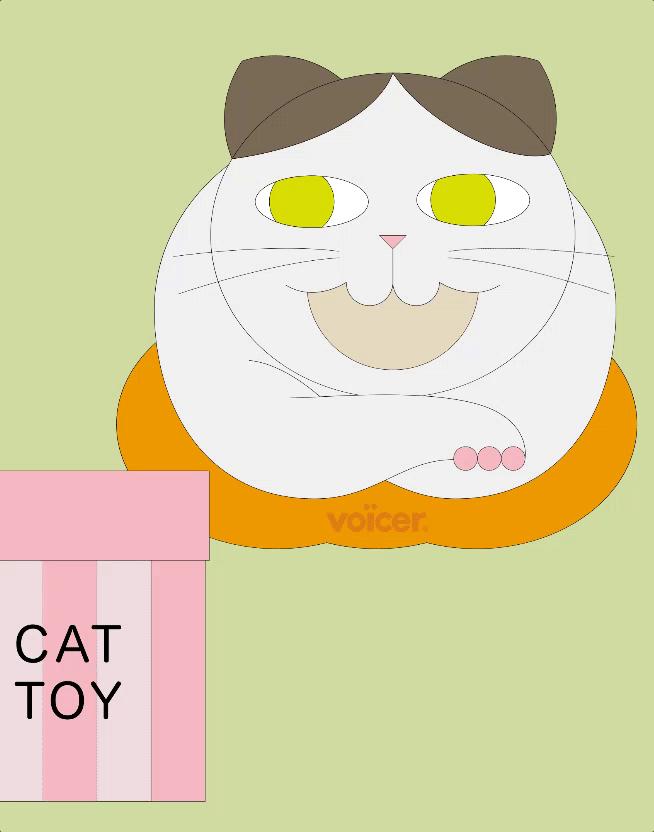 双十一特辑现场篇,双十一特辑