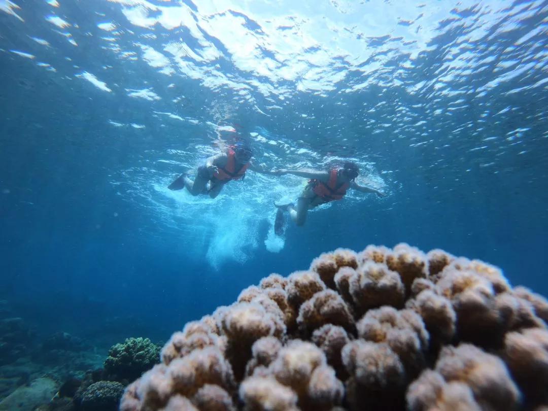 菲律宾自由潜水最好的地方,菲律宾旅游潜水